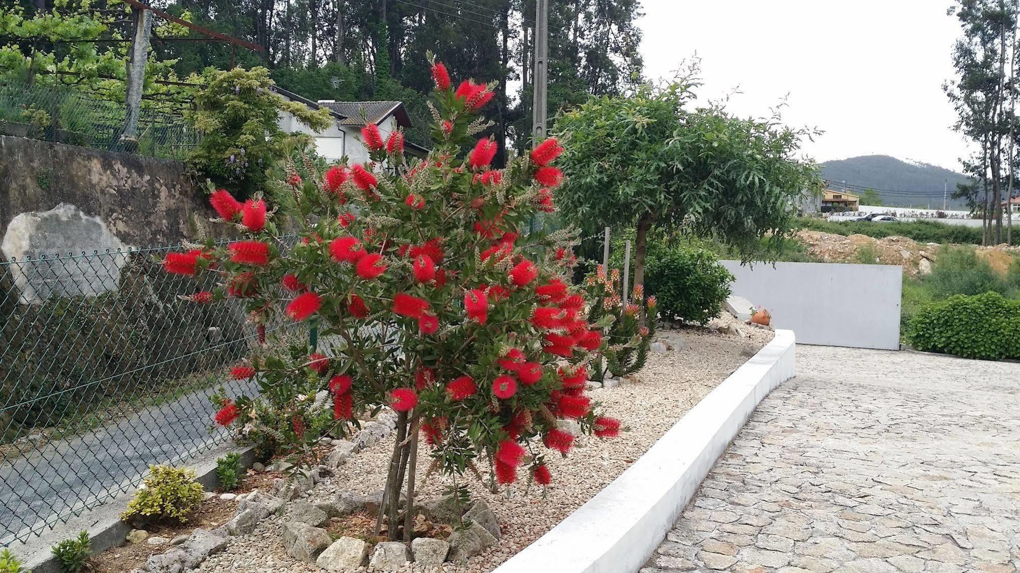 Casa Do Porto Carreiro Villa Oliveira de Azemeis Dış mekan fotoğraf