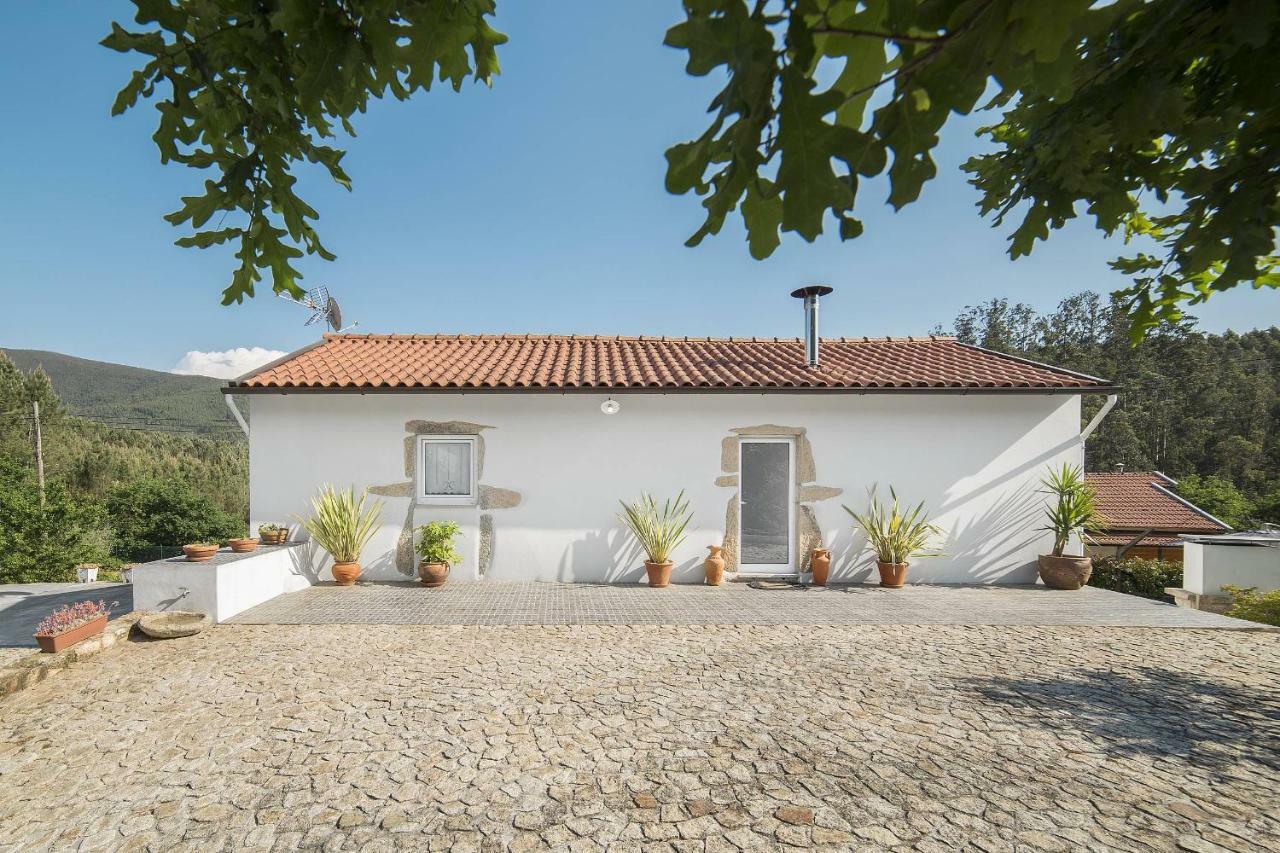 Casa Do Porto Carreiro Villa Oliveira de Azemeis Dış mekan fotoğraf