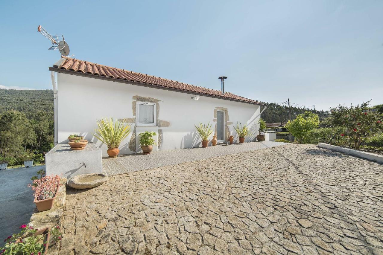 Casa Do Porto Carreiro Villa Oliveira de Azemeis Dış mekan fotoğraf